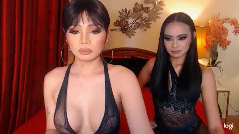 YOUR SIDECHIC HAILEY online show from February 6, 9:24 am