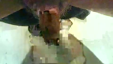 hammerhard1 online show from November 28, 11:06 am