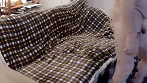 handz2 online show from April 17, 10:34 pm