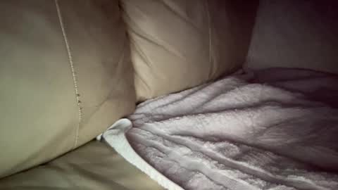 Snapshot of hardcock2622 chatting on December 20, 7:44 am Slim West Cox online show from December 20, 7:44 am