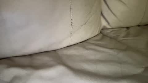 Snapshot of hardcock2622 chatting on February 9, 7:48 am Slim West Cox online show from February 9, 7:48 am