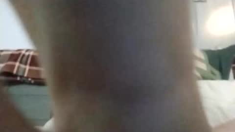 hardcock4u1973 online show from November 17, 6:05 am