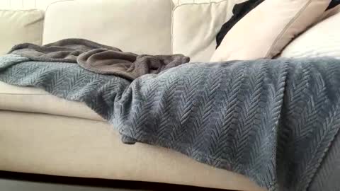 hardom online show from December 6, 11:06 am