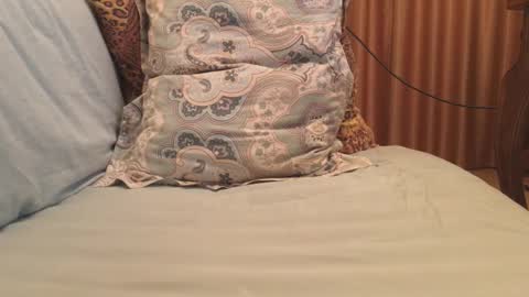 havedream1m online show from October 13, 9:44 am