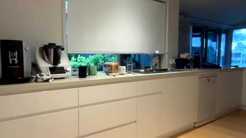 h babe online show from December 14, 7:14 pm