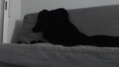 Heliogbalo online show from November 20, 10:36 am