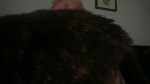 Bunnie Rotz online show from March 2, 2:32 pm