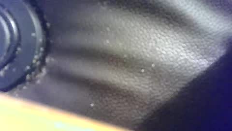 hellobunbunx0 online show from December 24, 12:11 pm