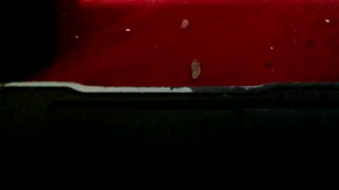 henitsaldy online show from March 31, 12:27 pm