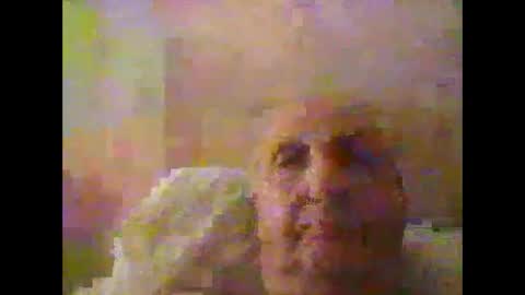 herdsman3 online show from January 14, 11:35 pm