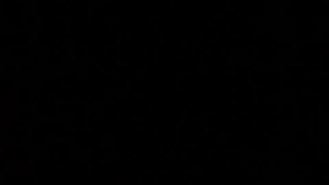 herkimer95 online show from January 5, 11:01 pm