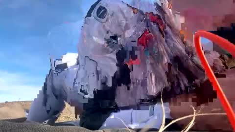 FlexieFae online show from December 18, 10:27 pm