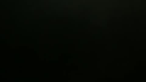 hibus_85 online show from November 7, 1:35 pm