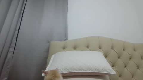 Hi moreno online show from September 24, 1:45 am