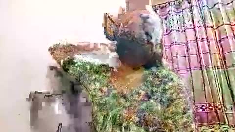 himuhimu22 online show from February 27, 10:24 pm