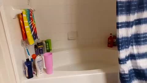 hippydippychick online show from November 13, 7:22 am