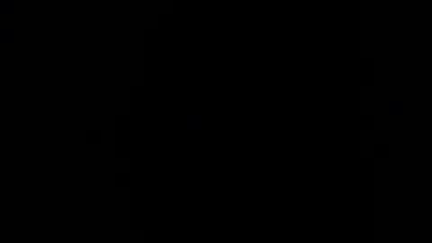 hoiiand48482 online show from January 9, 10:41 am