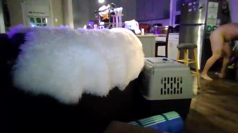 Jjjmoney93 online show from October 3, 4:10 am