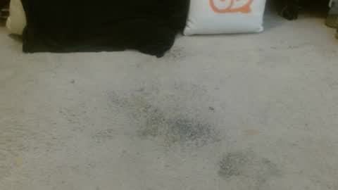 Holly Hawkes online show from March 16, 3:31 am