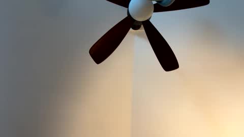 hornieecum online show from January 31, 9:23 pm