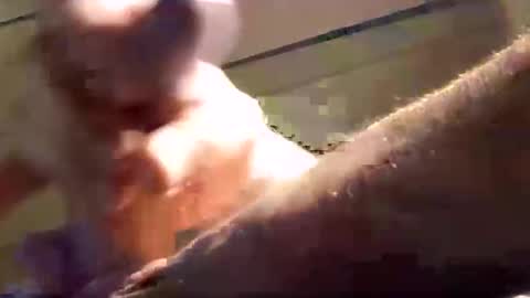 hornyforwomenofmyage online show from March 28, 7:59 pm