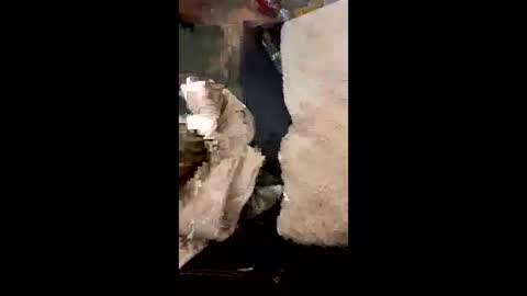 hornyguy00023 online show from March 22, 9:30 pm