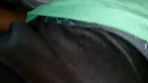 horse_show online show from November 1, 2:12 am