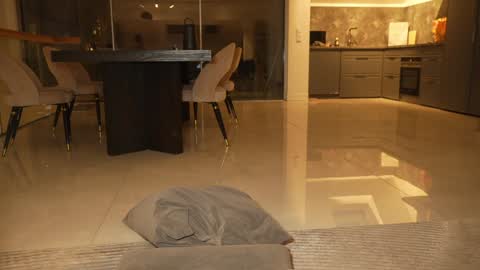 Bella online show from February 7, 11:30 pm