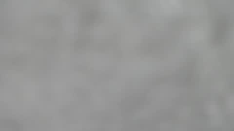 Slutty little female cat online show from November 23, 4:54 am