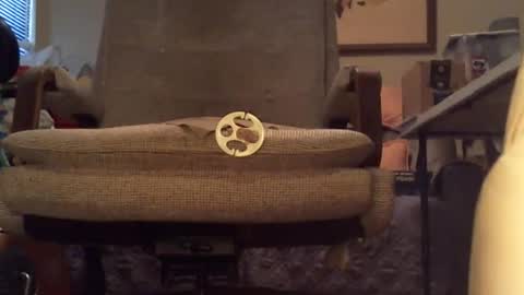 hrnydvl9568 online show from March 12, 10:02 pm