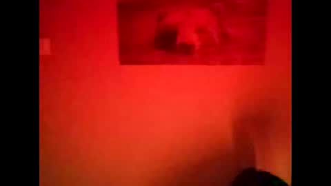 huidos2006 online show from November 11, 2:25 am