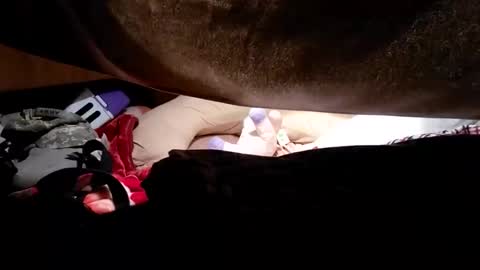 hungbig871224 online show from April 19, 7:09 am