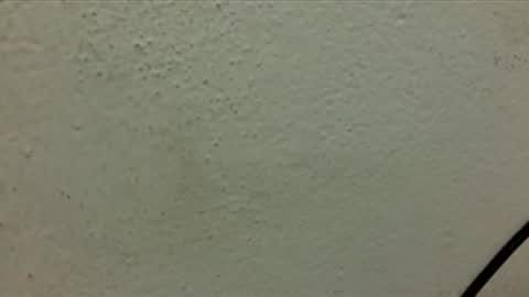 Peterr online show from February 1, 3:25 am