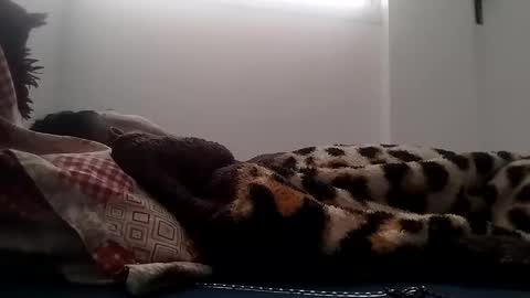 icynrfshtjxv online show from December 5, 9:19 am