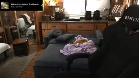 Carter online show from January 10, 7:03 am