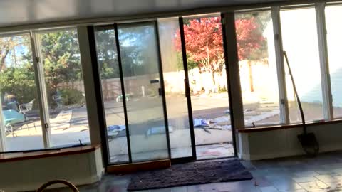 IntoTheWoodsWeGo online show from November 13, 8:33 pm