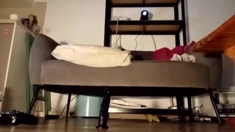 iron_cock40 online show from April 24, 10:01 pm