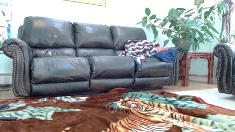 Jim online show from October 6, 5:09 pm