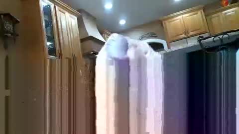 itsxxxtc online show from November 18, 5:49 pm