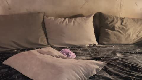 izi online show from February 19, 9:47 pm