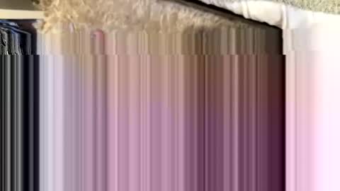 Snapshot of j1a1m1 chatting on December 2, 10:13 am j1a1m1 online show from December 2, 10:13 am