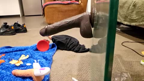 j220231 online show from December 4, 12:27 pm