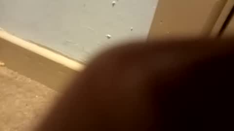 j434934 online show from January 5, 7:28 pm