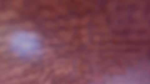 Jack online show from November 27, 4:31 am