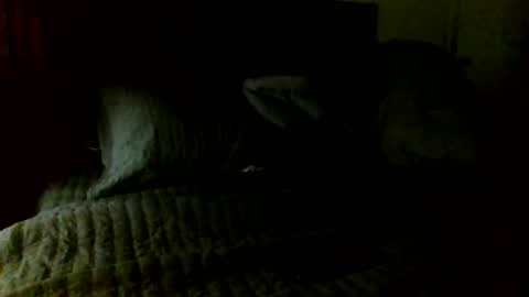 Jamacian online show from November 7, 5:10 am