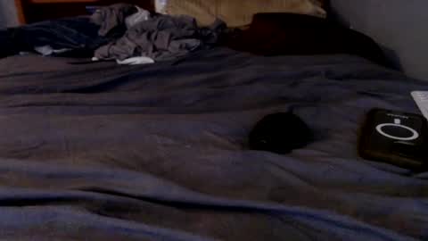 what you in too online show from September 28, 8:56 am