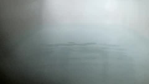 Bootyshows online show from January 31, 7:33 pm