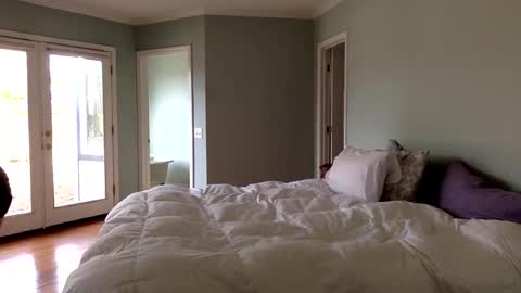 janicepepper online show from January 4, 9:52 pm