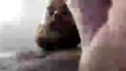 januszcygan online show from July 11, 2:49 am
