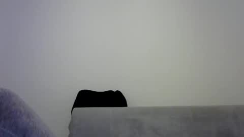 jaspal55 online show from November 9, 1:58 pm